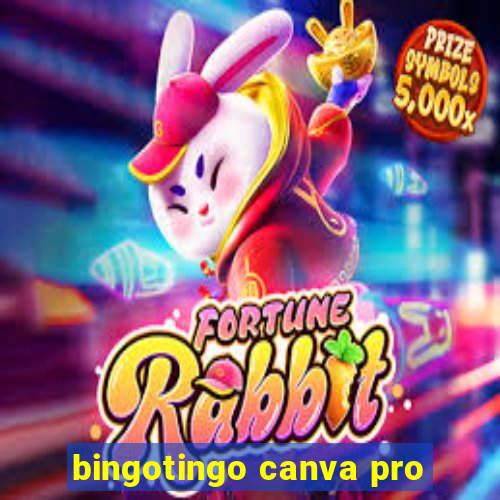 bingotingo canva pro